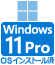 Microsoft Windows 11 Pro vCXg[